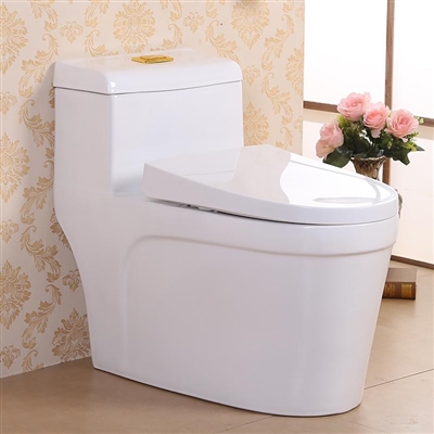 Elongated Toilet Seat